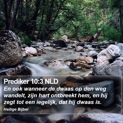 Prediker 10:3 NLD Bible Verse Image