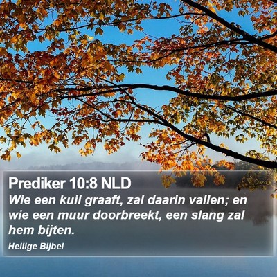 Prediker 10:8 NLD Bible Verse Image