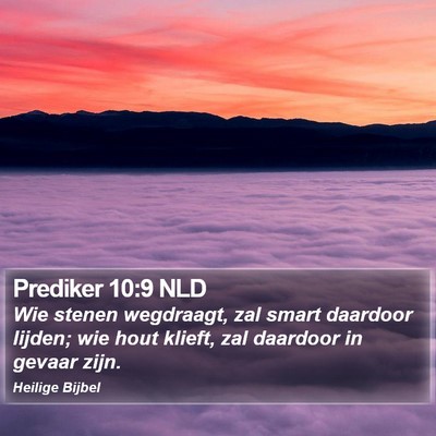 Prediker 10:9 NLD Bible Verse Image