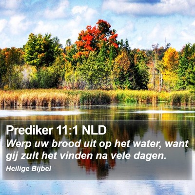 Prediker 11:1 NLD Bible Verse Image