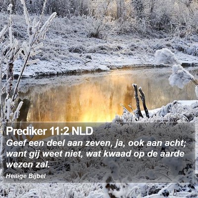Prediker 11:2 NLD Bible Verse Image