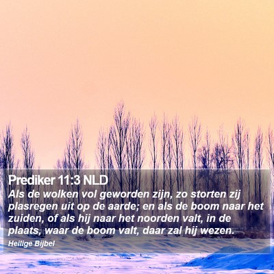 Prediker 11:3 NLD Bible Verse Image