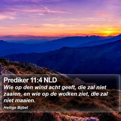 Prediker 11:4 NLD Bible Verse Image