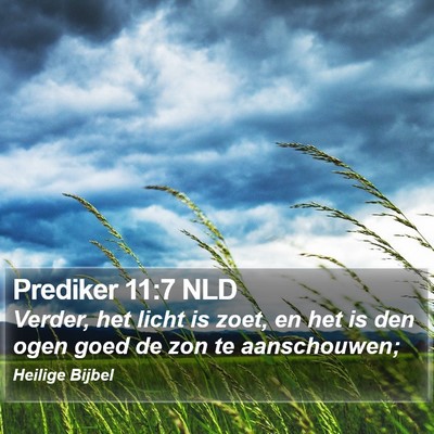 Prediker 11:7 NLD Bible Verse Image