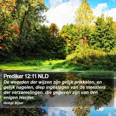 Prediker 12:11 NLD Bible Verse Image
