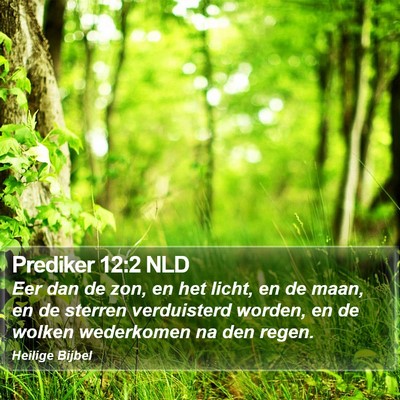 Prediker 12:2 NLD Bible Verse Image