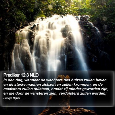 Prediker 12:3 NLD Bible Verse Image