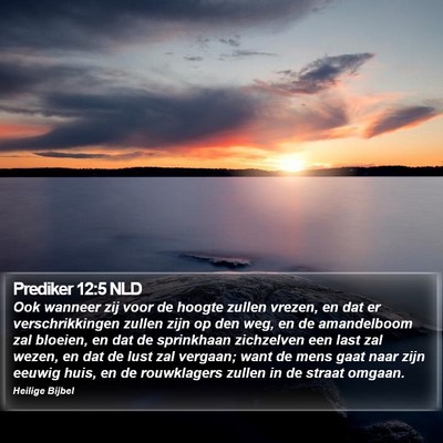 Prediker 12:5 NLD Bible Verse Image