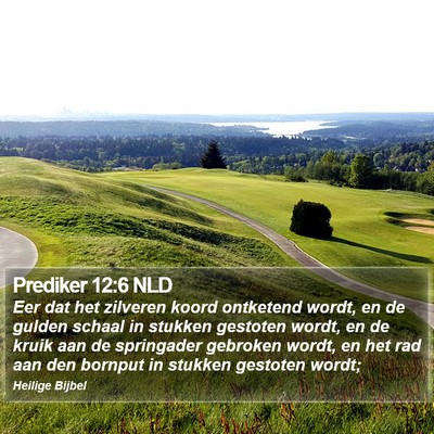 Prediker 12:6 NLD Bible Verse Image