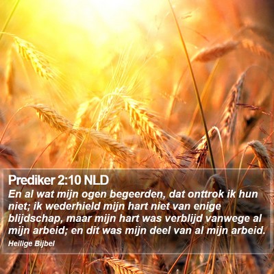 Prediker 2:10 NLD Bible Verse Image