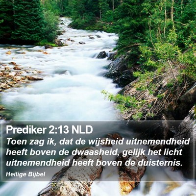Prediker 2:13 NLD Bible Verse Image