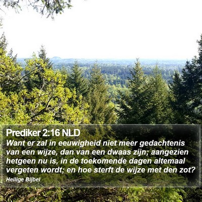 Prediker 2:16 NLD Bible Verse Image