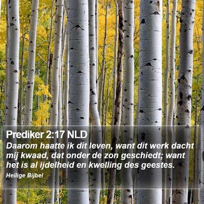 Prediker 2:17 NLD Bible Verse Image