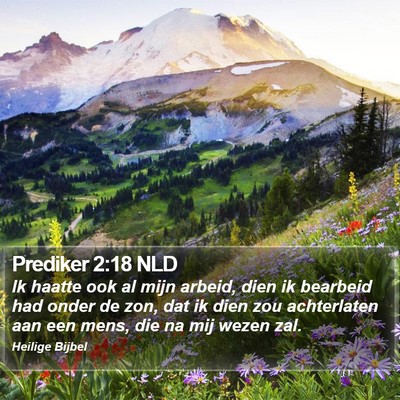 Prediker 2:18 NLD Bible Verse Image