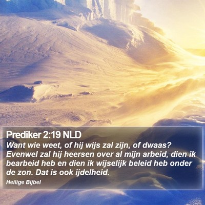 Prediker 2:19 NLD Bible Verse Image