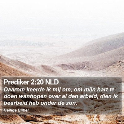 Prediker 2:20 NLD Bible Verse Image