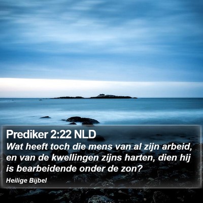 Prediker 2:22 NLD Bible Verse Image