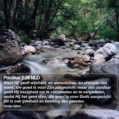 Prediker 2:26 NLD Bible Verse Image