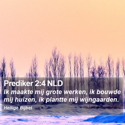 Prediker 2:4 NLD Bible Verse Image