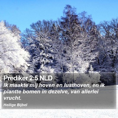 Prediker 2:5 NLD Bible Verse Image