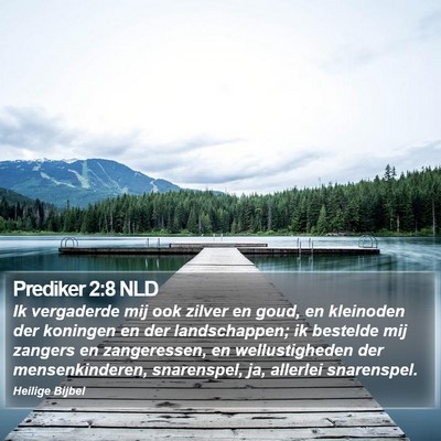 Prediker 2:8 NLD Bible Verse Image