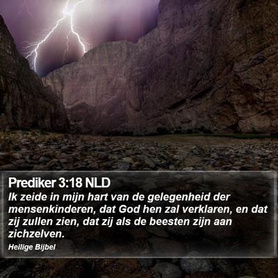 Prediker 3:18 NLD Bible Verse Image