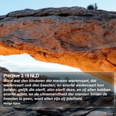 Prediker 3:19 NLD Bible Verse Image