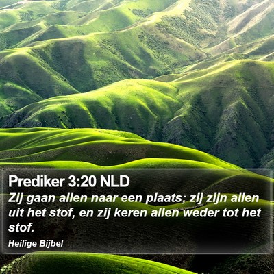 Prediker 3:20 NLD Bible Verse Image