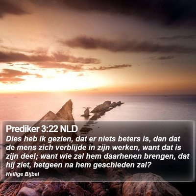 Prediker 3:22 NLD Bible Verse Image