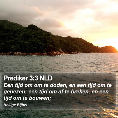 Prediker 3:3 NLD Bible Verse Image