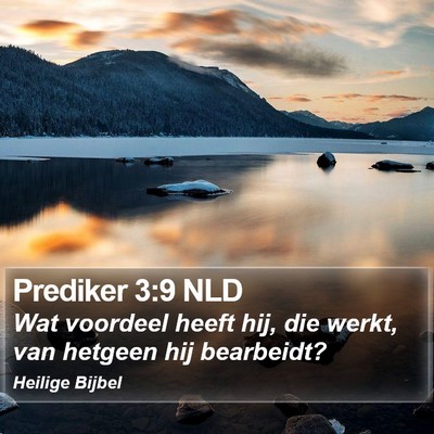 Prediker 3:9 NLD Bible Verse Image