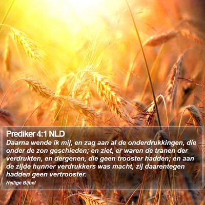 Prediker 4:1 NLD Bible Verse Image