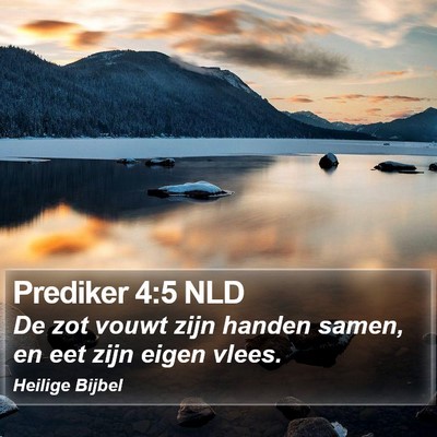 Prediker 4:5 NLD Bible Verse Image