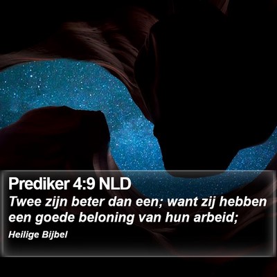 Prediker 4:9 NLD Bible Verse Image