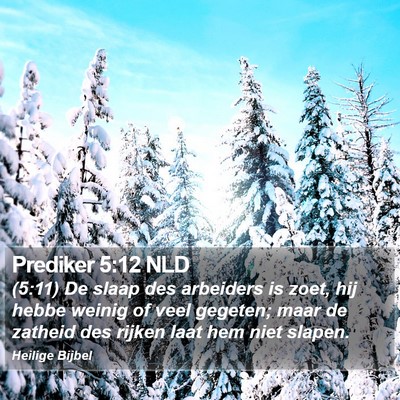 Prediker 5:12 NLD Bible Verse Image