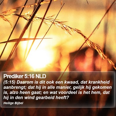 Prediker 5:16 NLD Bible Verse Image