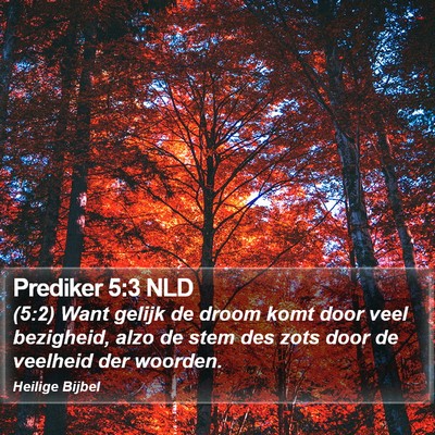 Prediker 5:3 NLD Bible Verse Image