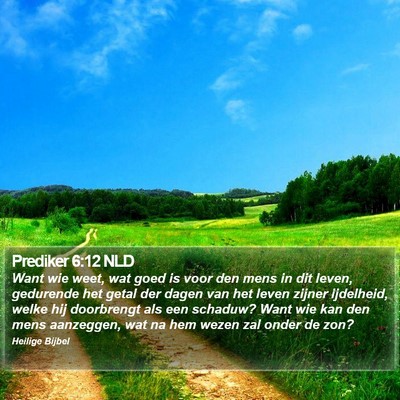 Prediker 6:12 NLD Bible Verse Image