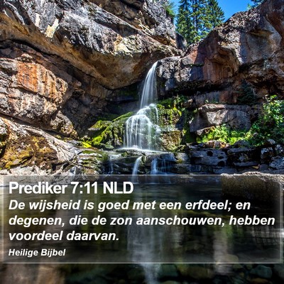 Prediker 7:11 NLD Bible Verse Image