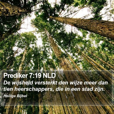 Prediker 7:19 NLD Bible Verse Image