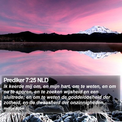 Prediker 7:25 NLD Bible Verse Image