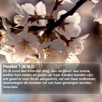 Prediker 7:26 NLD Bible Verse Image