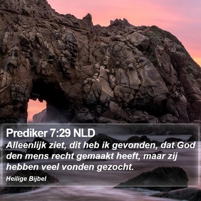 Prediker 7:29 NLD Bible Verse Image