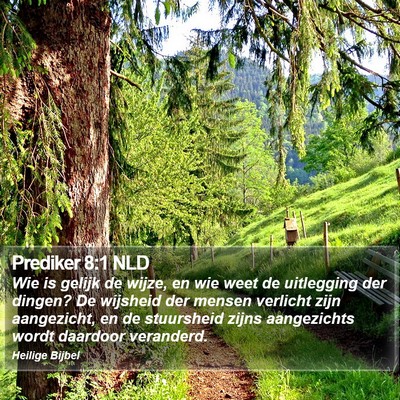 Prediker 8:1 NLD Bible Verse Image