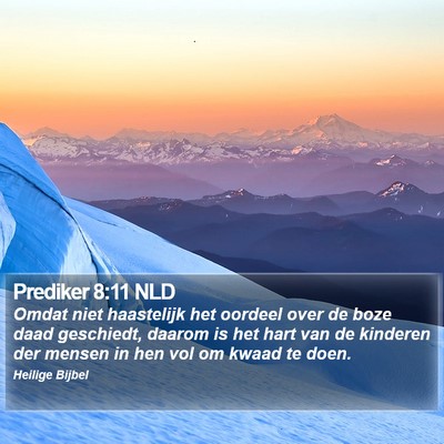 Prediker 8:11 NLD Bible Verse Image