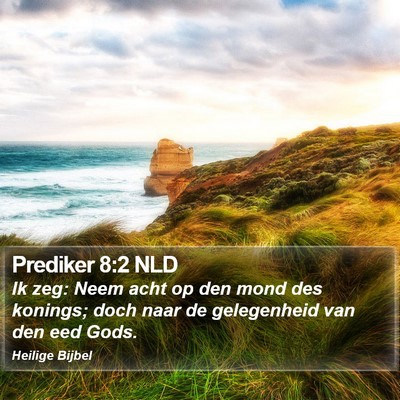 Prediker 8:2 NLD Bible Verse Image