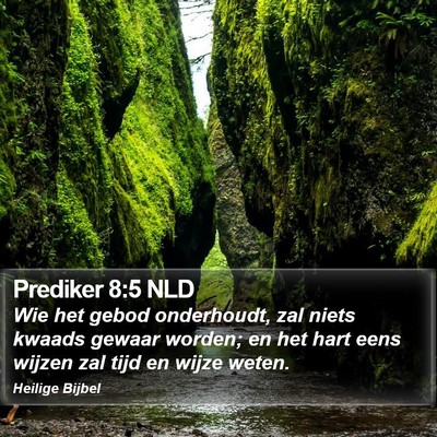 Prediker 8:5 NLD Bible Verse Image