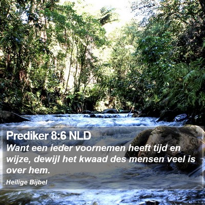 Prediker 8:6 NLD Bible Verse Image