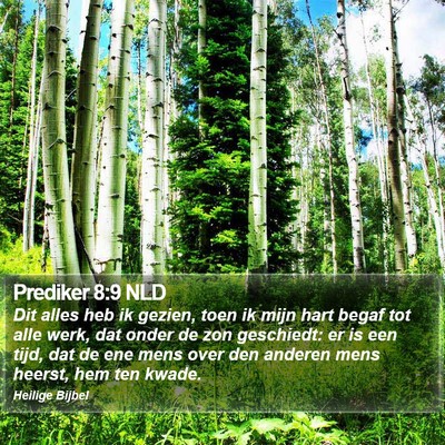 Prediker 8:9 NLD Bible Verse Image