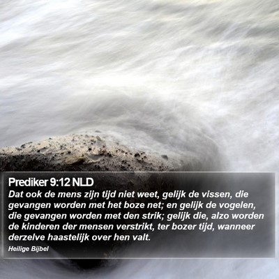 Prediker 9:12 NLD Bible Verse Image